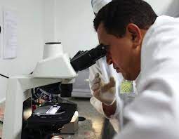 Yescenia E. Granados M. tweet media