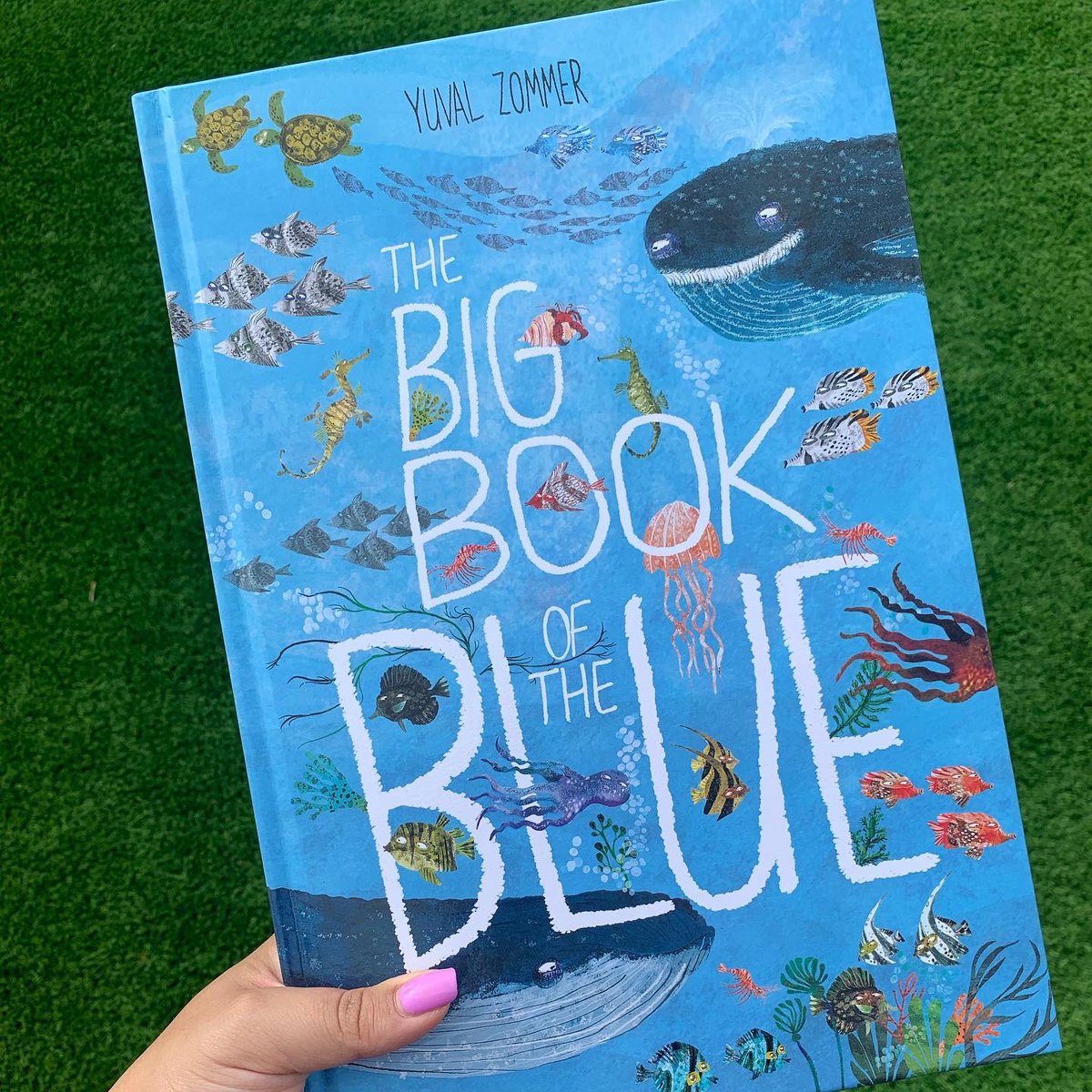 Sensory Tray 🦀🪸🌊 #eyfs #earlyyears #cosyclubideas