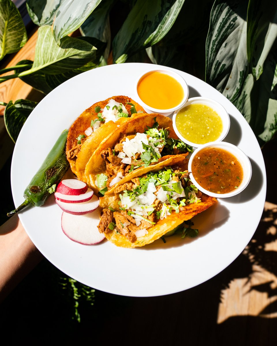 PulseCafeMA's tweet photo. 🌮 #TacoTuesday is back this week at Pulse with Summer Crispy Tofu Tacos and Chik'n Tinga Tacos! Get yours today while supplies last! 🏃💨 You can check out the link in our bio to order them online.
Which is your favorite? Let us know in the comments below 👇
#pulsecafe https://t.co/cjjqeX87To