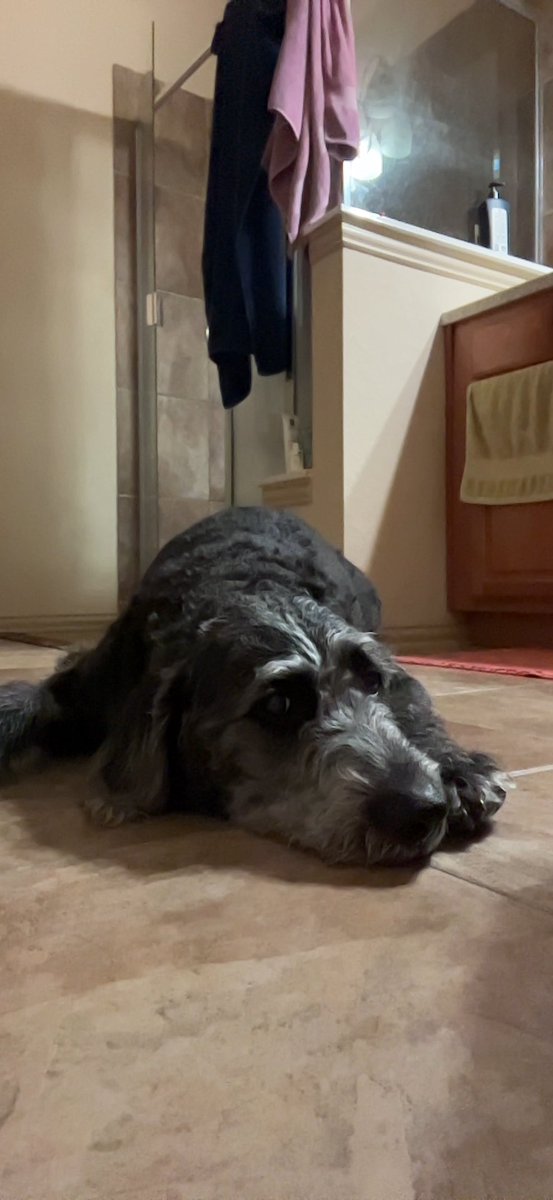 nicslayne's tweet photo. FaceTime calls with Kylo 😔❤️ https://t.co/QR8XP7RSmE
