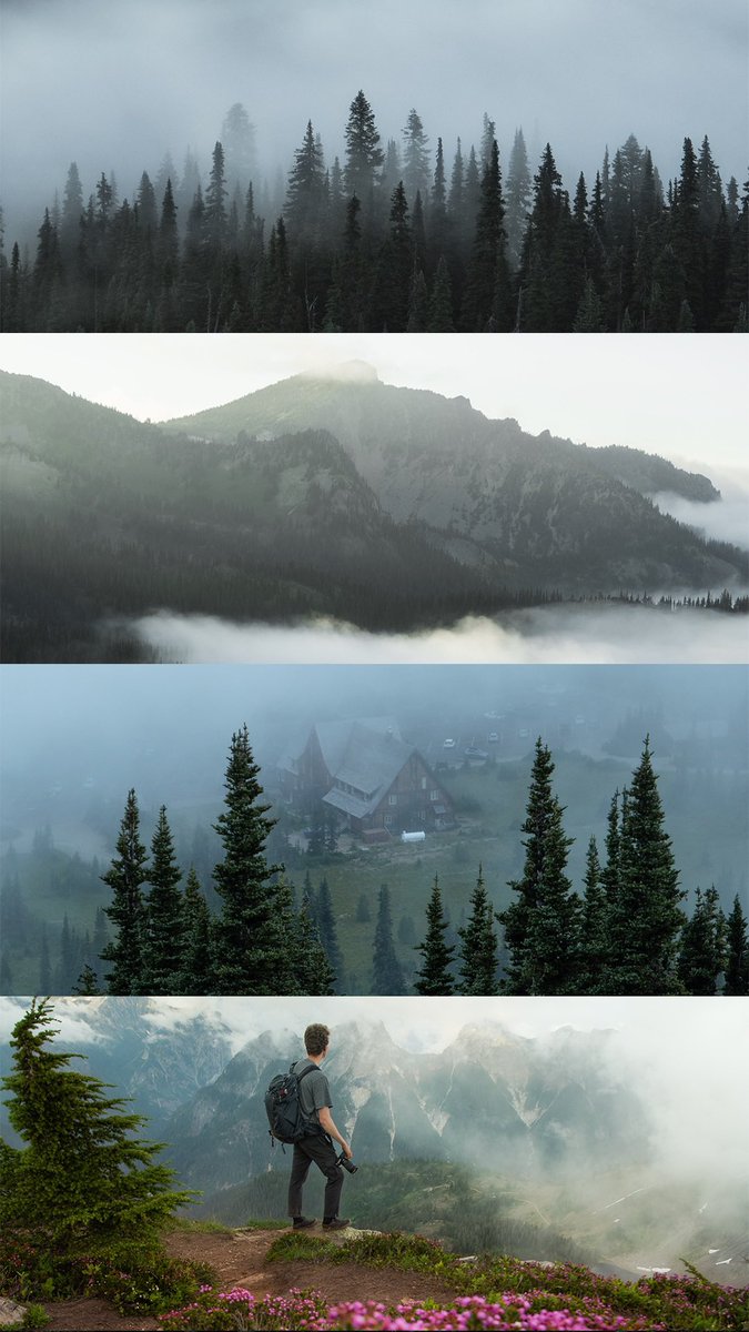 A collection of fog 💨