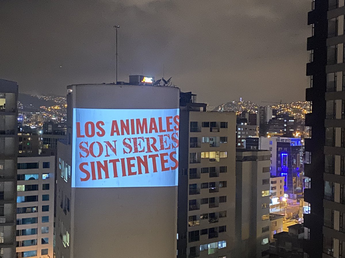 LoaEcuador's tweet photo. Somos una noticia bonita en medio de tanta violencia, corrupción y odio. Esta #LeyOrgánicaAnimal busca garantizar los Derechos Animales y a través de esa vía, reconstruir nuestra paz. No habrá paz sin justicia social. ¡Si ustedes nos apoyan, vamos a lograrlo! https://t.co/Hfz1FAXj2j