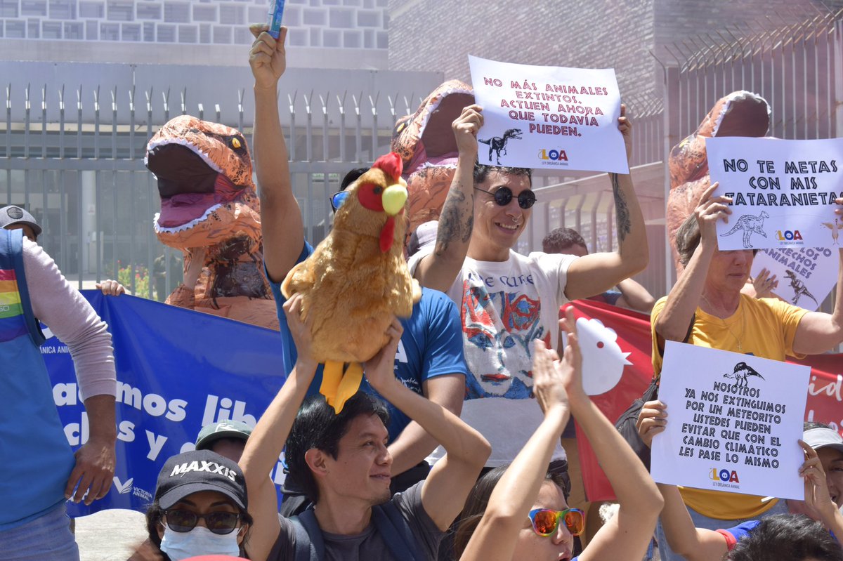 LoaEcuador's tweet photo. Somos una noticia bonita en medio de tanta violencia, corrupción y odio. Esta #LeyOrgánicaAnimal busca garantizar los Derechos Animales y a través de esa vía, reconstruir nuestra paz. No habrá paz sin justicia social. ¡Si ustedes nos apoyan, vamos a lograrlo! https://t.co/Hfz1FAXj2j