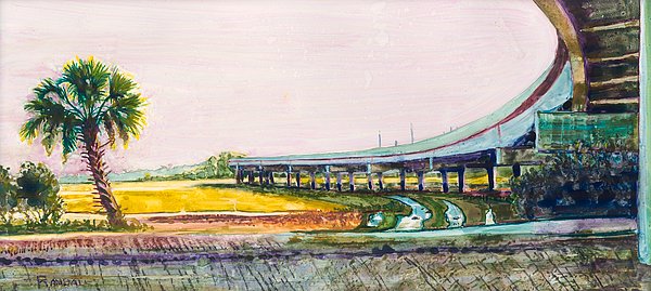 Fastframe_HHI's tweet image. New artwork for sale! - "Palmetto Flyover" - david-randall.pixels.com/featured/palme… @fineartamerica