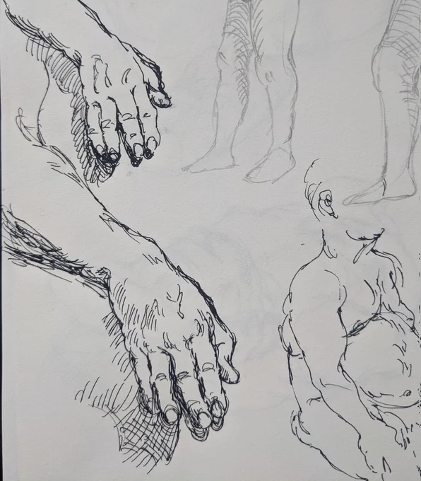 enjoy some life drawings I've been doing 