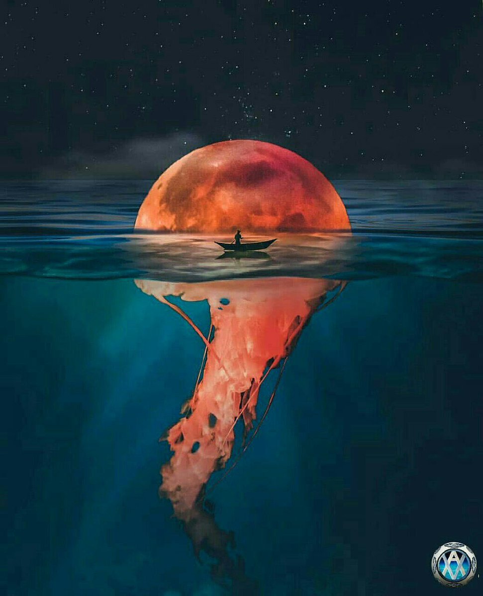 نألف ونحبّ، ونحفظ الودّ، ونربأ بأنفسنا أن تندلق بفيِض شُعورها على من لا يقدُرها حقّ قدرها، ويعي عُمقها ورسوخها نفعل، حتى لا نلوم،ولا نُلام والعاقل المتزن حقاً:"من أنزل الناس منازلهم "