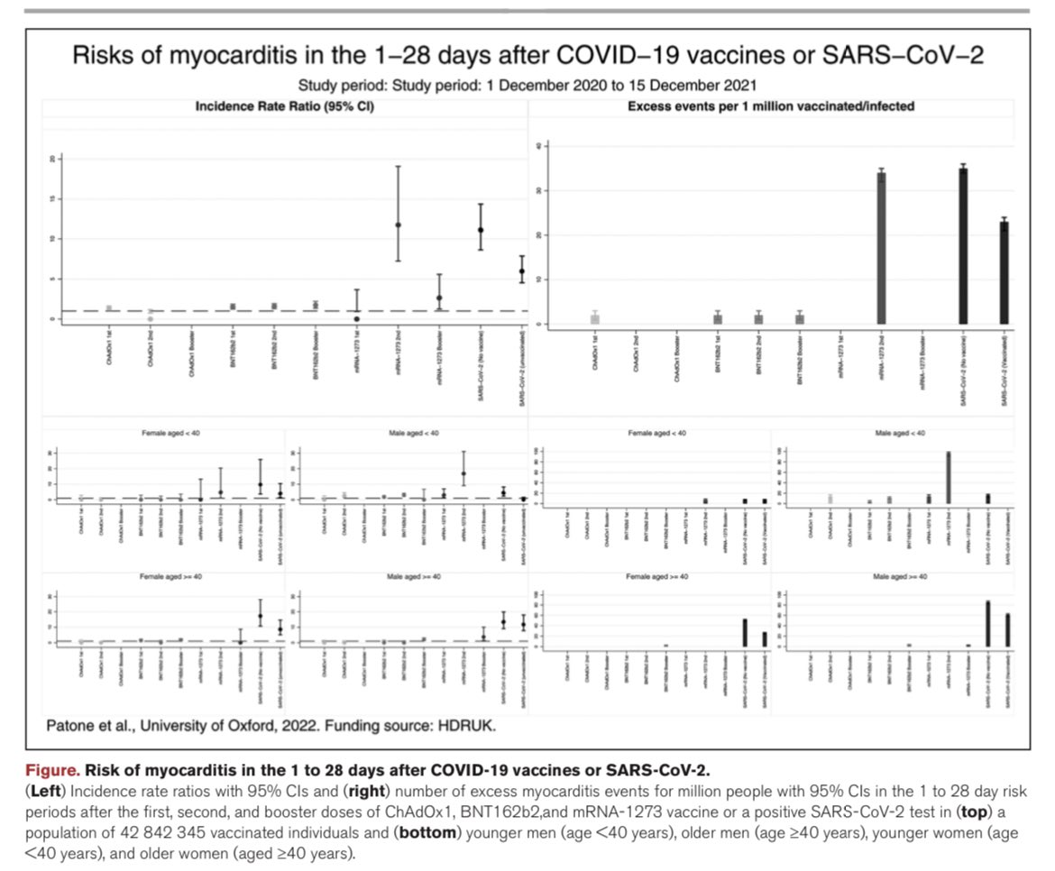 Rodrigo Zoni tweet media