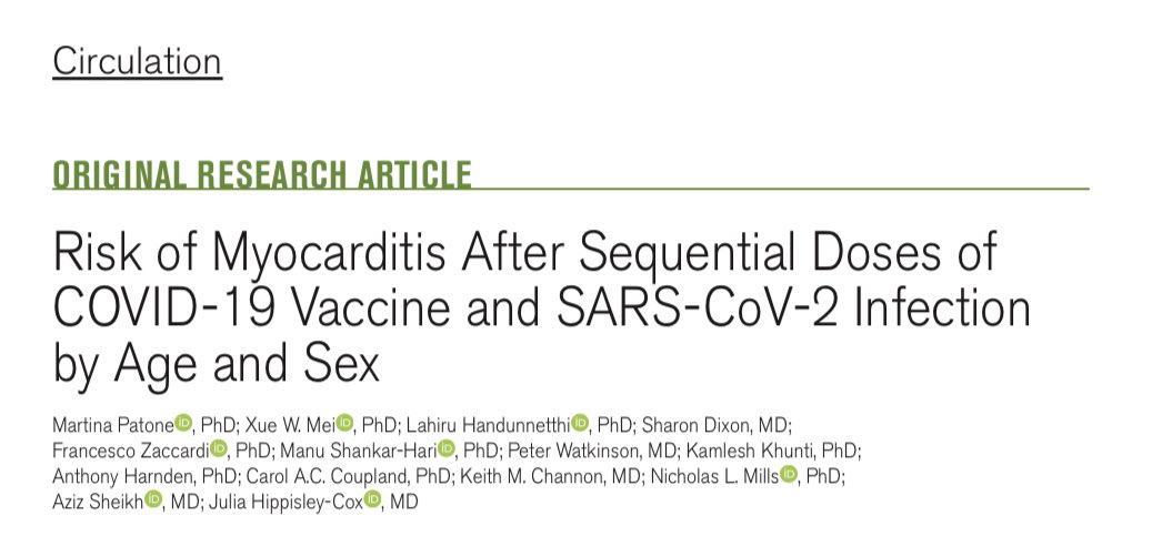 Rodrigo Zoni tweet media