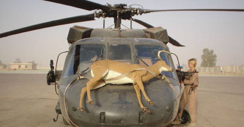 DeerBlast's tweet photo. A deer decoy strapped to the nose of a helicopter?? 🤔 Any theories on this pls let us know! 👇
#deerhunting https://t.co/ObO4wSDOpW https://t.co/IAjD7U2PXk