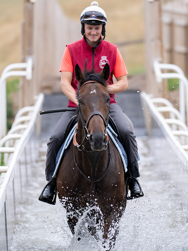 Racing Post tweet media