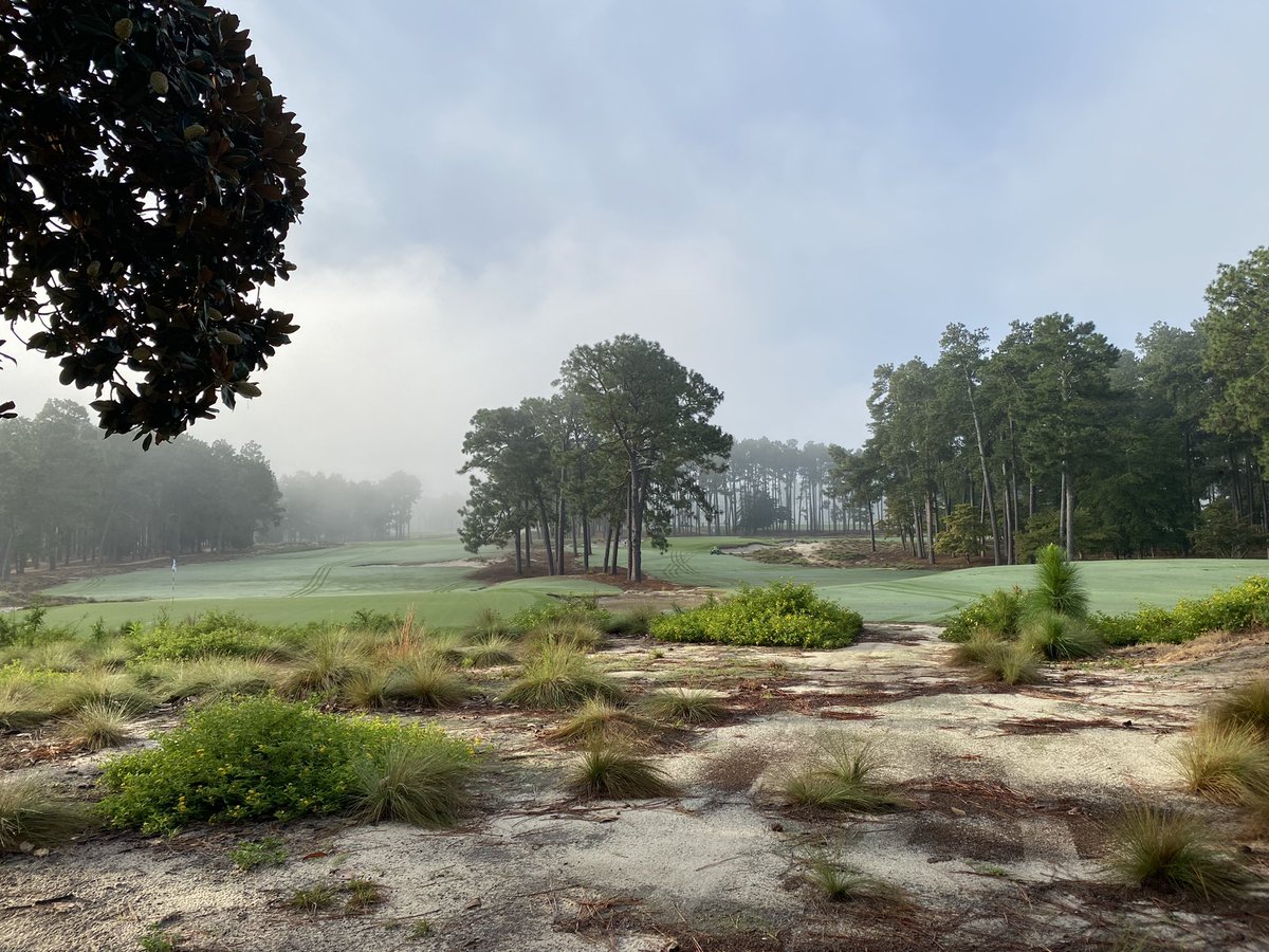 cardsfan0000's tweet photo. If you need proof that there is a god…
#Pinehurst2 #16 #17
@pinehurstresort https://t.co/3gokT8UDP6