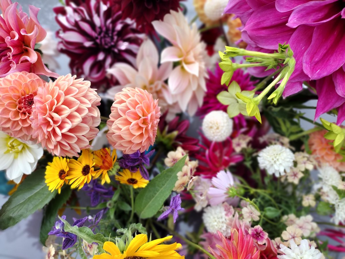 hsuffield's tweet photo. Friday flowers a few days early this week! https://t.co/S6UgLhKK8r