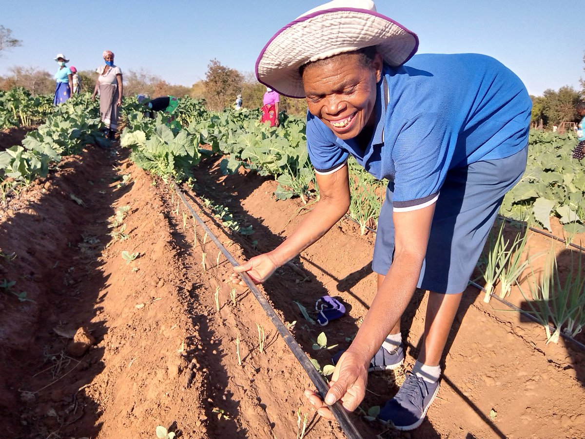 CAREZimbabwe's tweet photo. @ZRBFZIM #ECRAS project led by @CAREZimbabwe  has reached 23,771 households in Mwenezi district over the last 6 years with funding and support from @euinzim, @UKinZimbabwe , @SwedeninZW ,@UNDPZimbabwe  and government of Zimbabwe.

#30yearsofCAREZim https://t.co/xrMagNHQY9