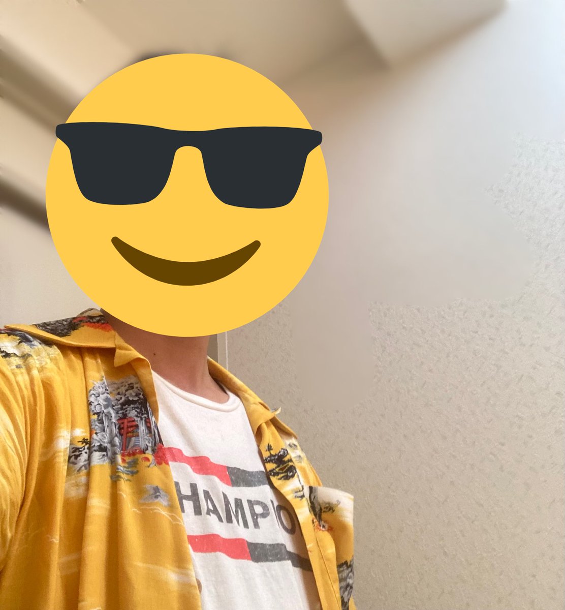 parkoldies's tweet photo. ブラピと会えた！！！！✨
一番好きな俳優と会えるだけでも幸せなのに、ワンハリのクリフの格好して最前列でめっちゃアピってたらなんとブラピが🫵&amp;👍してくれるなんて(多分…)ほんとに興奮しすぎてしばらく放心状態でした😭
いつかツーショット&amp;サインもらえるように頑張って生きていこうと思います！ https://t.co/h5v5ZQn4oL