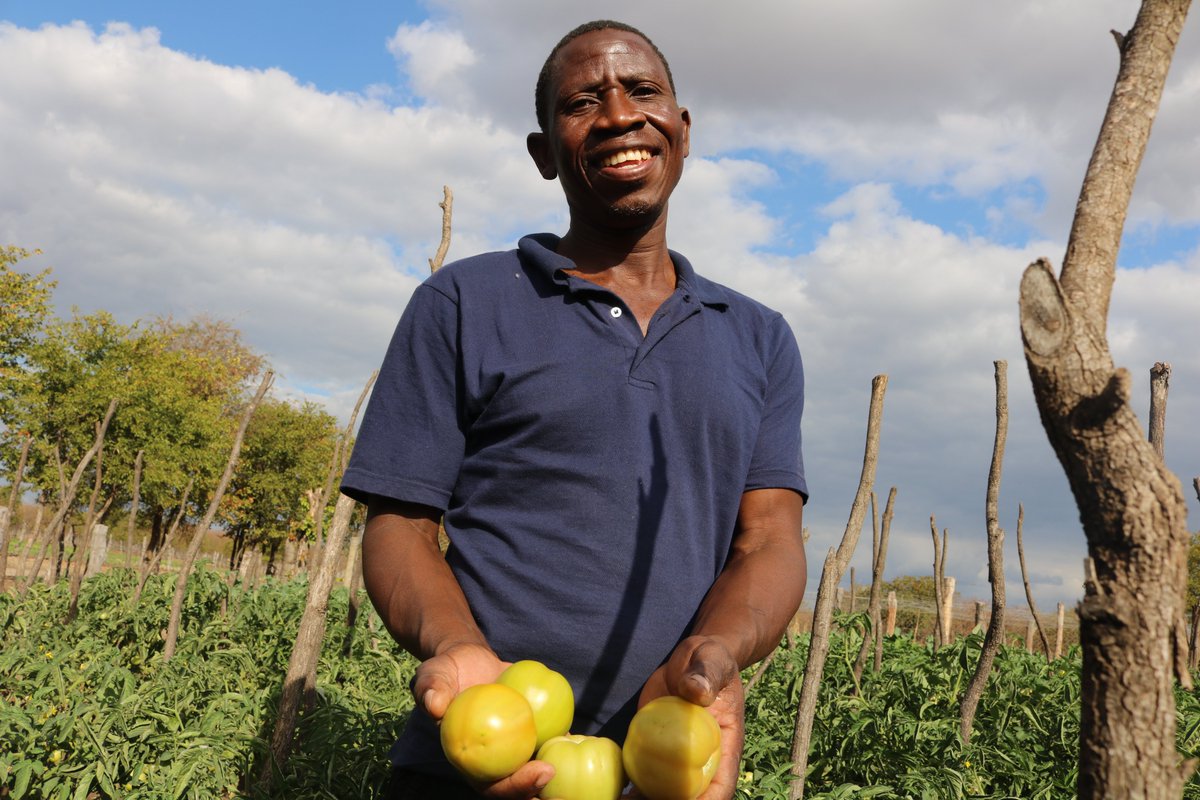 CAREZimbabwe's tweet photo. @ZRBFZIM #ECRAS project led by @CAREZimbabwe  has reached 23,771 households in Mwenezi district over the last 6 years with funding and support from @euinzim, @UKinZimbabwe , @SwedeninZW ,@UNDPZimbabwe  and government of Zimbabwe.

#30yearsofCAREZim https://t.co/xrMagNHQY9