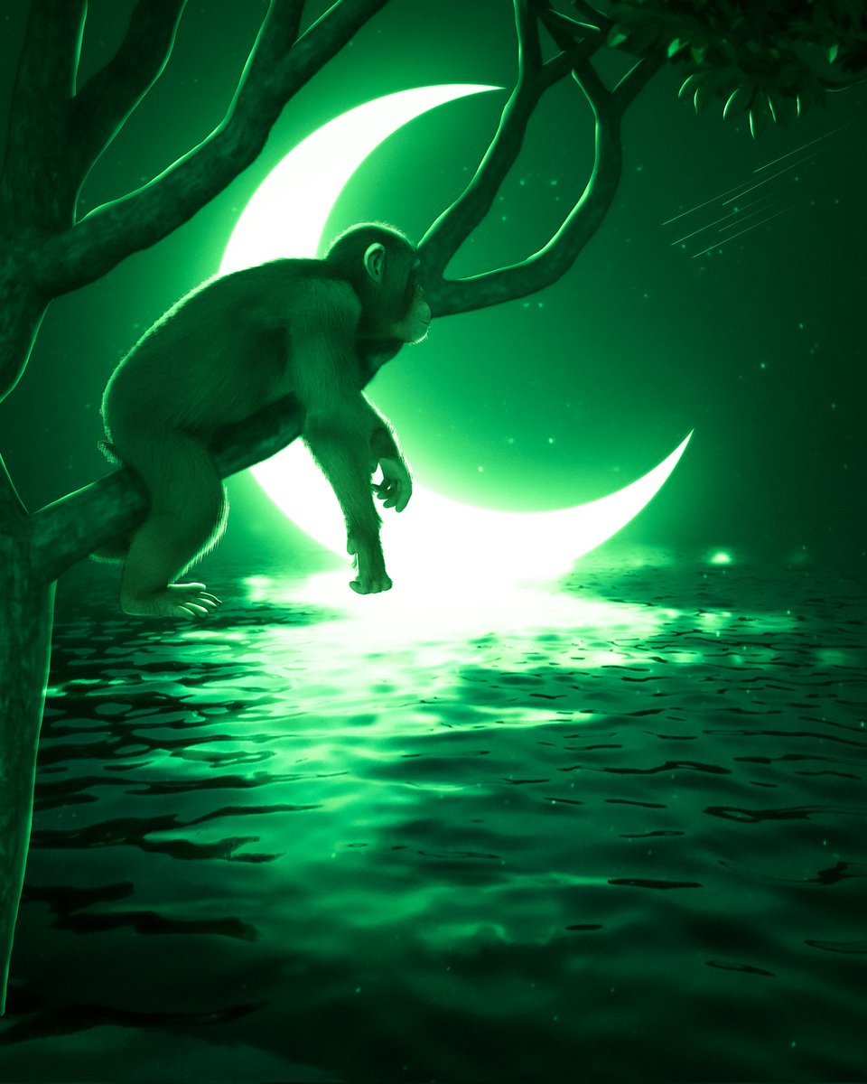 𝙍𝙀𝘿 𝙍𝙀𝘼𝙋𝙀𝙍 tweet media