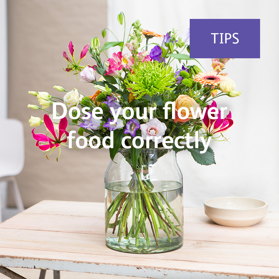 ChrysalInt's tweet image. You "dose" your own food intake as well right?

#Florist #FlowerCare #FlowerTips