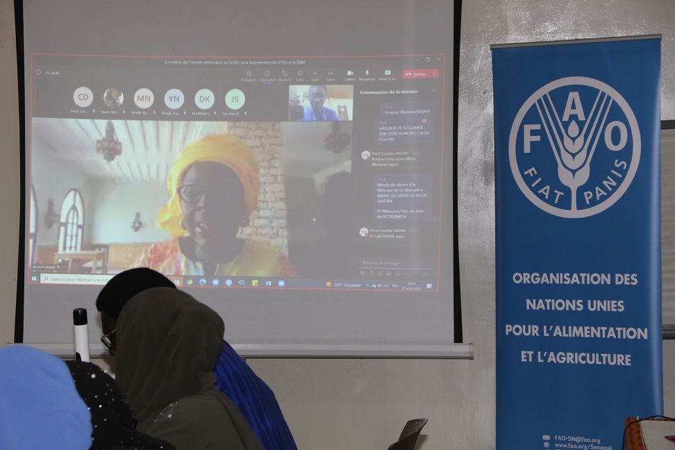 FAOSenegal's tweet photo. #HappeningNow

💊Atelier de formation des femmes-vétérinaires sur la biosécurité, biosûreté &amp; résistance aux antimicrobiens

🧑🏿‍🔬La @FAOSenegal intervient à travers son Centre d'urgence pour la lutte contre les maladies animales transfrontières #FAOECTAD

#UneSeuleSanté #OneHealth https://t.co/bPgvJUiDG0