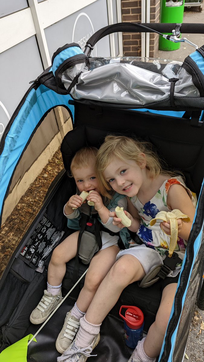 First time running with these little monkeys in a buggy, they loved it. Not fun on hills and tight corners though