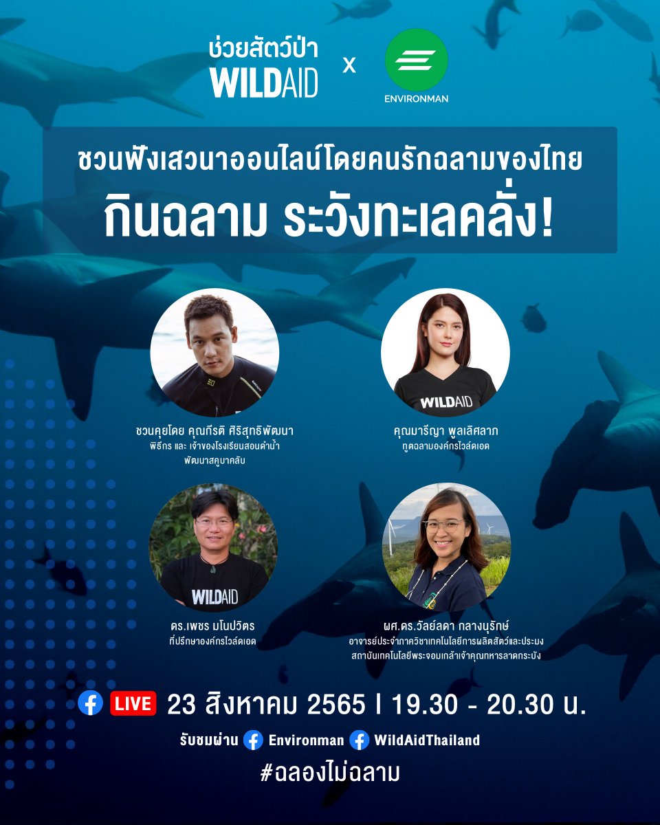 WildAidThailand's tweet photo. วันนี้ 19.30น ชวนฟังเสวนาสด “กินฉลาม ระวังทะเลคลั่ง!” 
- ทำไมกินฉลาม อาจทำทะเลคลั่งคลั่ง
- จะเกิดอะไรขึ้นกับท้องทะเลเมื่อฉลามหายไปกลายเป็นเมนูอาหาร
-หูฉลามมีประโยชน์จริงหรือ
-รู้ไหมฉลามในถ้วยซุปอาจเป็นฉลามเสี่ยงสูญพันธุ์
สดผ่านเพจ @Environmanth เพจ @WildAidThailand 
#ฉลองไม่ฉลาม https://t.co/FzXkdYkKUH