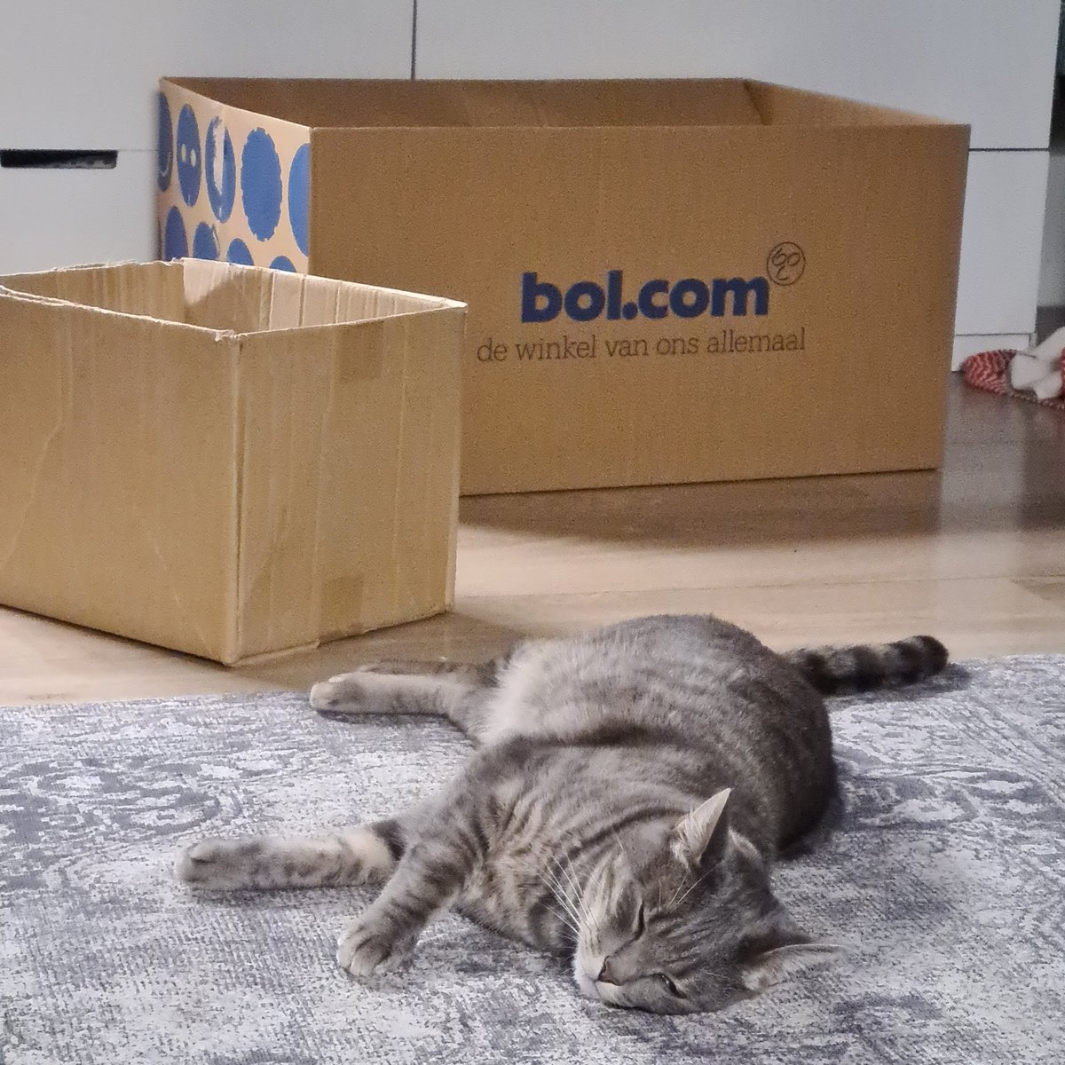 I like big box and I cannot lie...