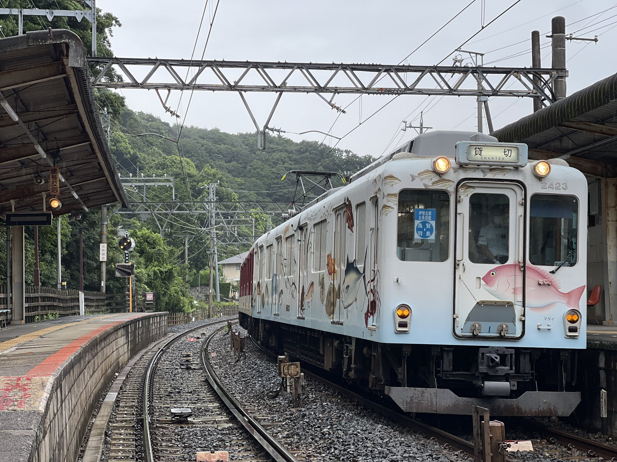 🚆しまちゃん🚆 (@6221shimachan) / X
