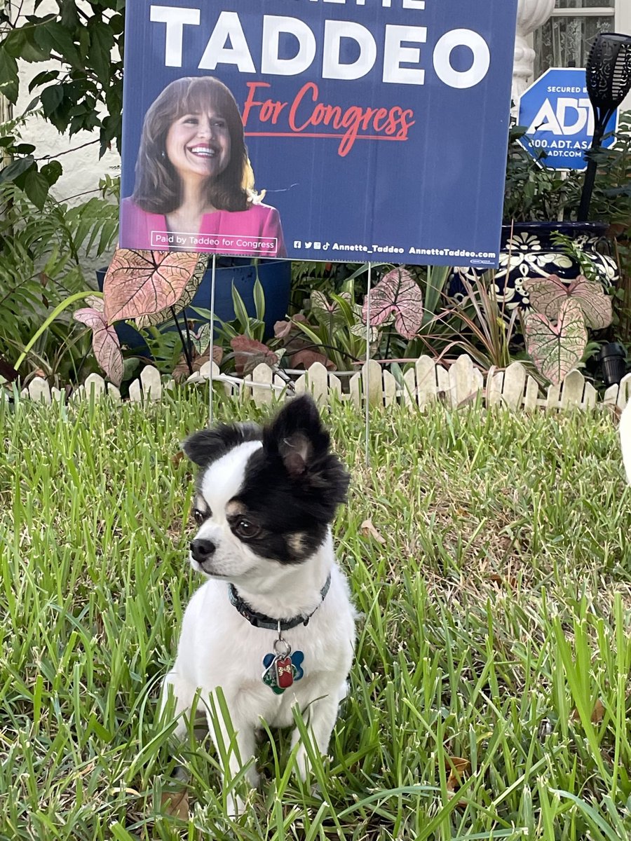 Dogs4FL27's tweet photo. Its a pawfect day to exercise your right to vote 💙🗳 🐾 

#ElectionDay #FL27 #Dogs4Annette https://t.co/4ZkjarWgEL