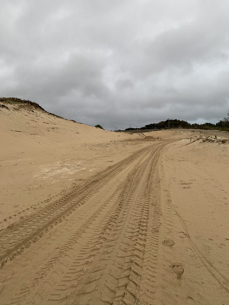 SaveSands's tweet photo. @EIA_News @OfficialZSL This was once a beautiful green area full of wildlife in Hayle , Cornwall ! How is this right ? We should be protecting what we have left . https://t.co/y82zZtM4ze