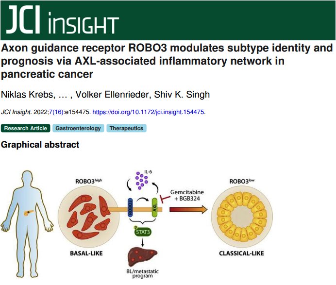 KrebsNi's tweet photo. Very happy and proud to get our work published @JCI_insight, great team effort! Thanks to all contributors, especially to the whole Singh lab!
#PDAC #ROBO3 https://t.co/9ZBvcEiPbf