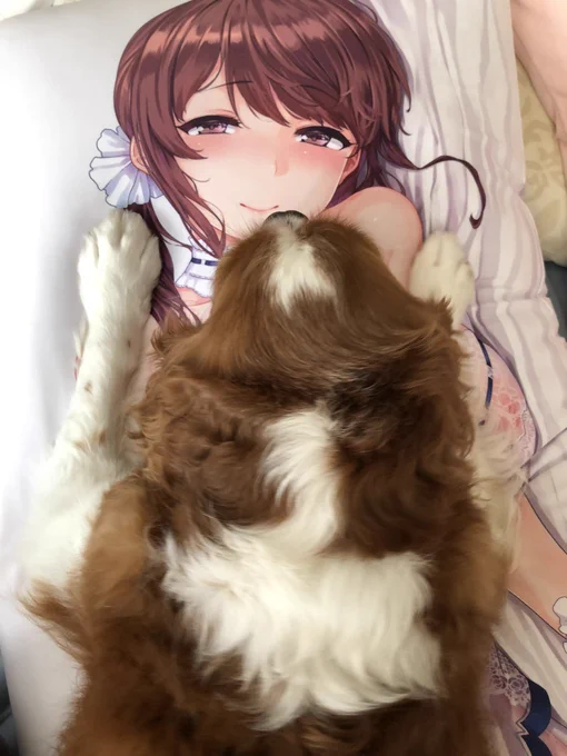 ヨアヒムのお気に入り 