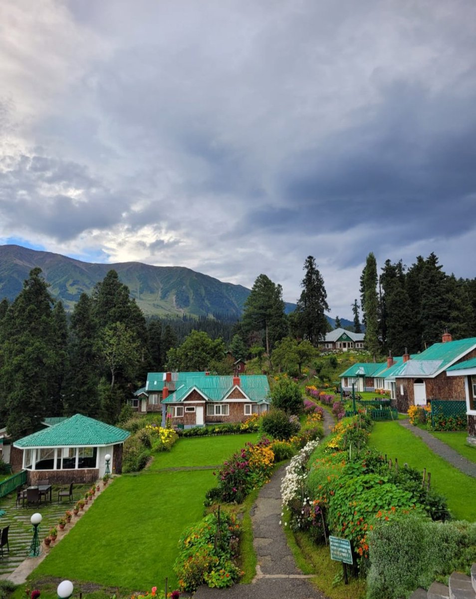 VisitGulmarg's tweet photo. G U L M A R G 💚 https://t.co/c9bgmutt4f