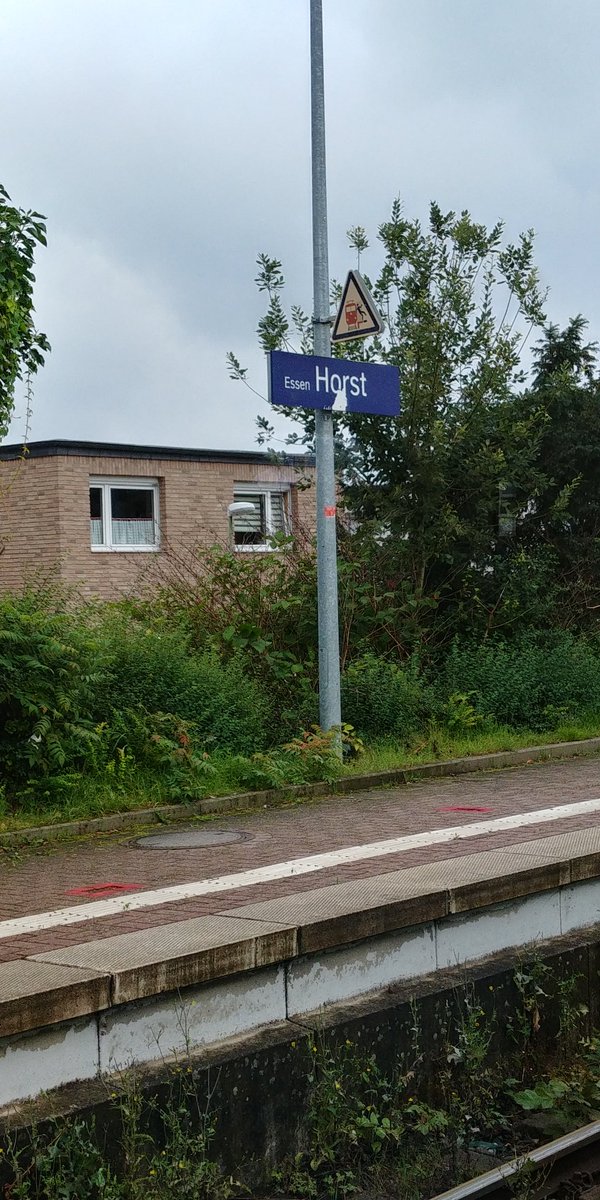 Brennholzverleih Feufeu tweet media