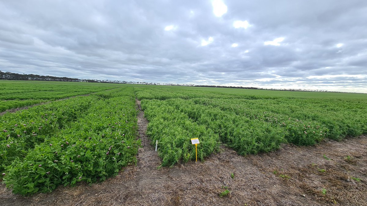 James Rollason tweet media