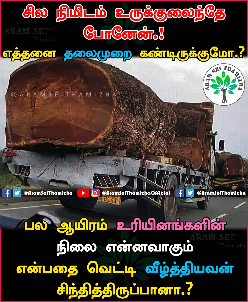 AramSeiThamizha's tweet photo. பல்லுயிர் மடிந்தது 😭
#AramSeiThamizha #SaveForest #SaveRainForest #StopCuttingTrees https://t.co/FR96KbOQRk