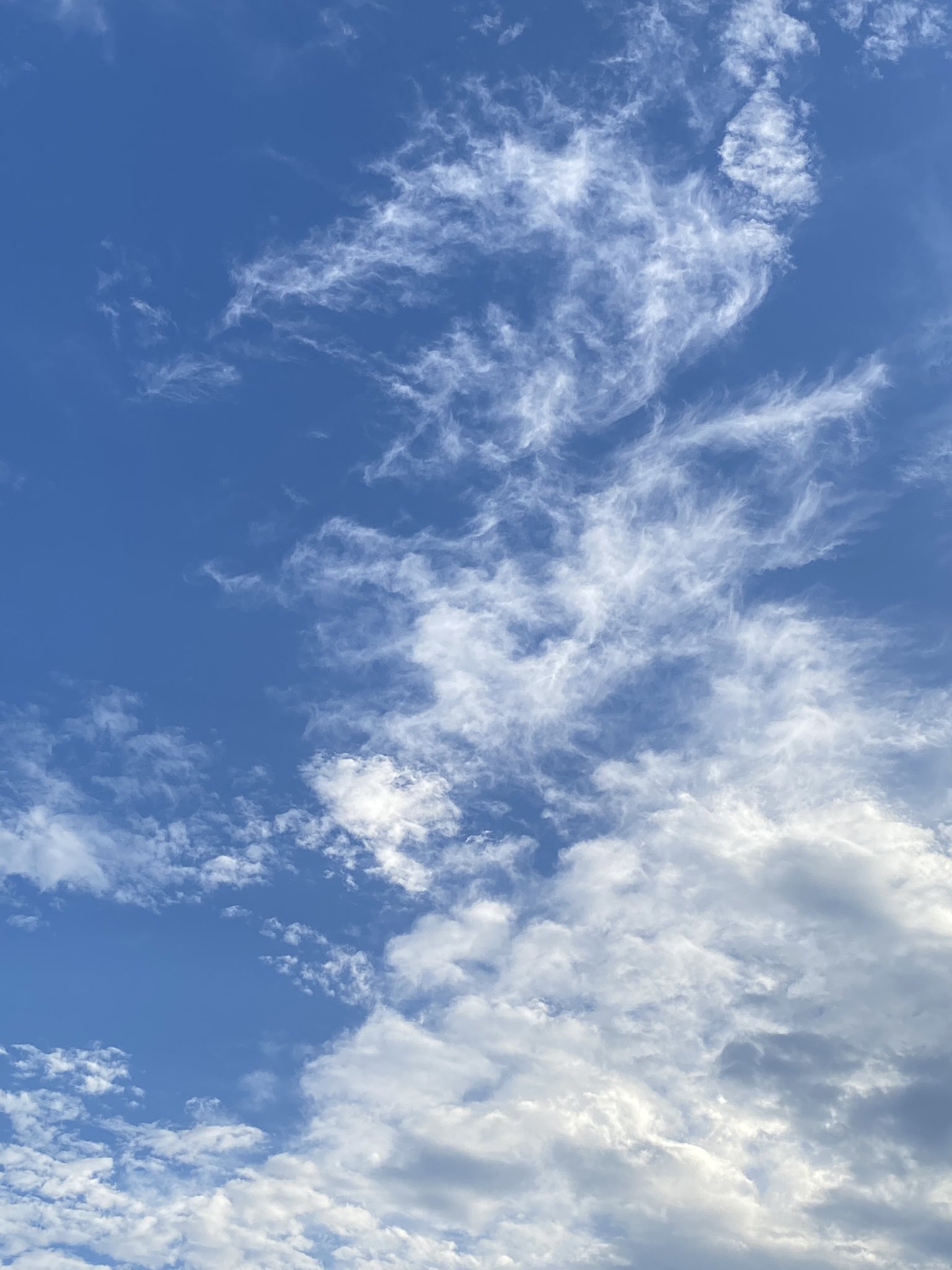 Tweets With Replies By 赤尾ひかる Akao Hikaru Twitter