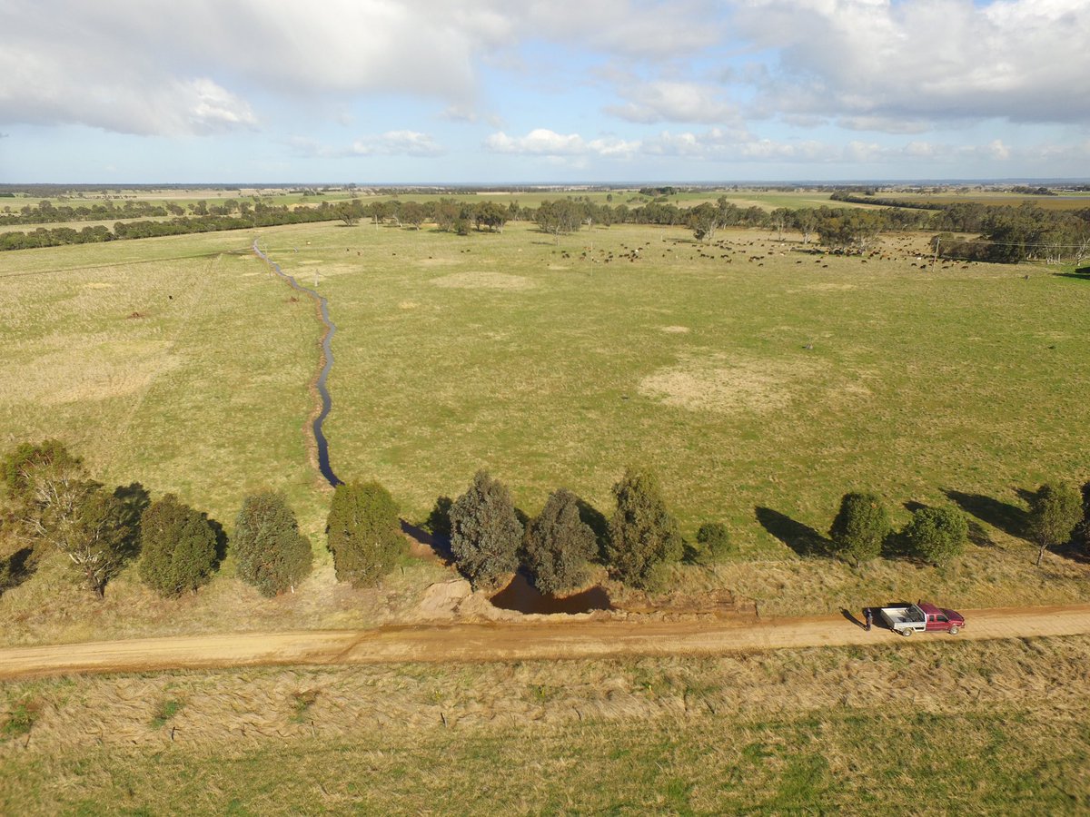 RuthRead13's tweet photo. Our new yellow toy with keen astute operator has formed a contour swale across a couple of paddocks. Pretty impressed with how it is slowing the flow and holding water higher in the landscape. https://t.co/7vS8pSQw7u