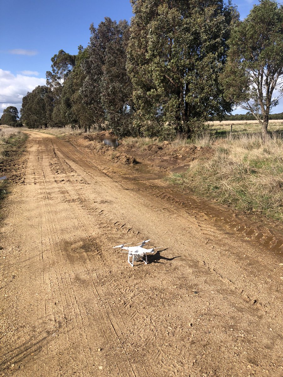 RuthRead13's tweet photo. Our new yellow toy with keen astute operator has formed a contour swale across a couple of paddocks. Pretty impressed with how it is slowing the flow and holding water higher in the landscape. https://t.co/7vS8pSQw7u