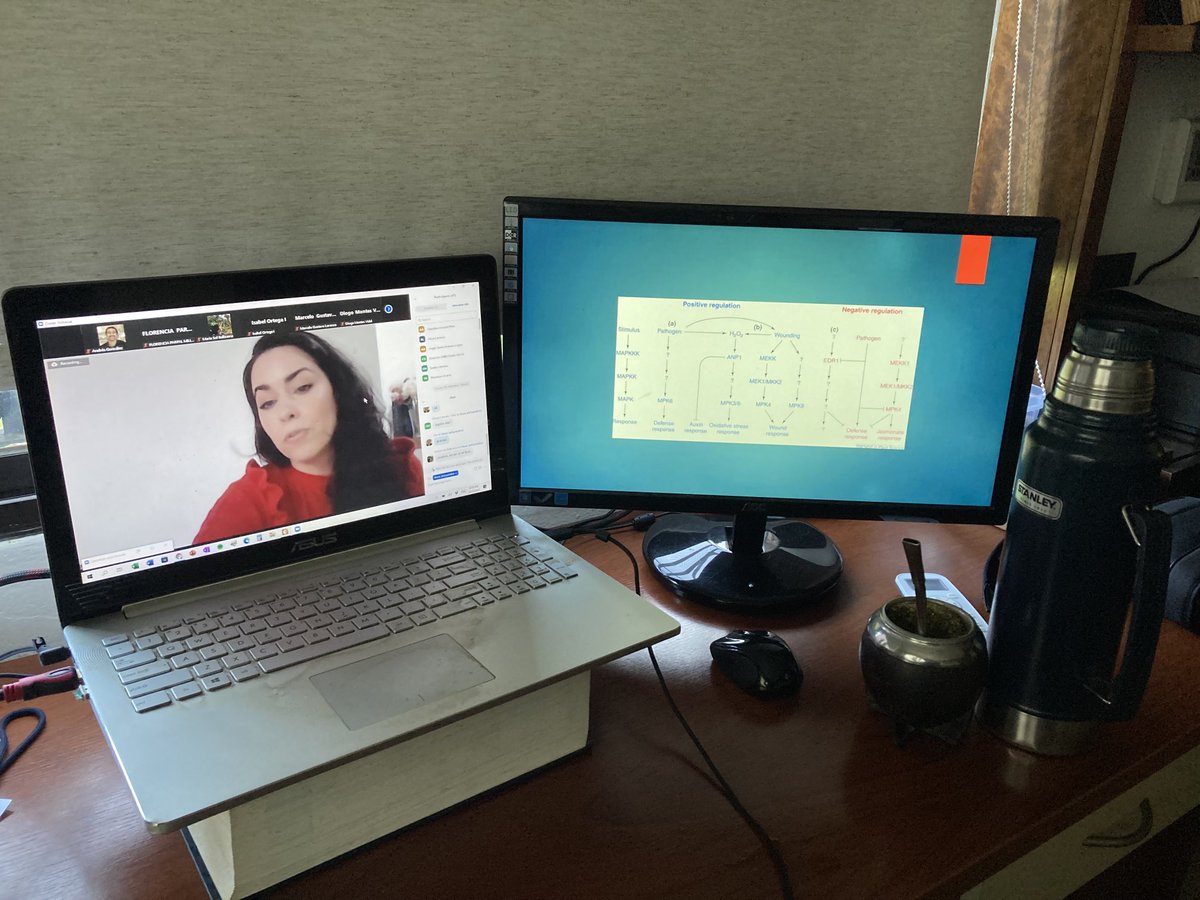 agonzal29's tweet photo. First ALAEQ webinar series right now ⁦@ALAEQ2⁩ ⁦@ChemEcol_org⁩ ⁦@LEQ_Uruguay⁩ https://t.co/9h8mtQO5tL