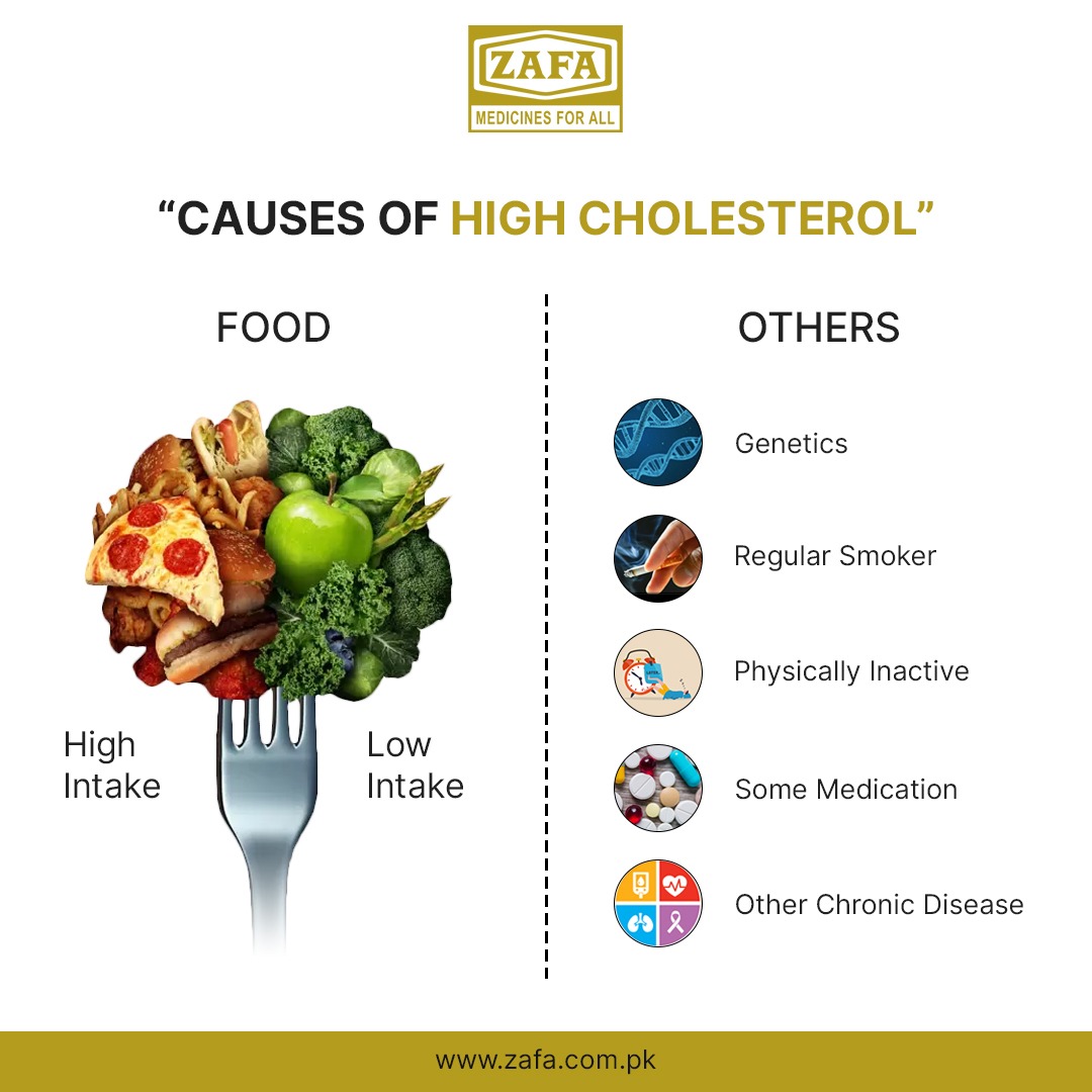 ZafaPharmaLtd's tweet photo. If you have high blood cholesterol, making lifestyle changes is a great first step to lower your risk of heart disease.
Visit us at: https://t.co/aQIm6y3wJd
#food #health #healthyfood #zafapharmaceutical #cholesterol #highintake #genetics #lowintake https://t.co/lxyx9wzjvC