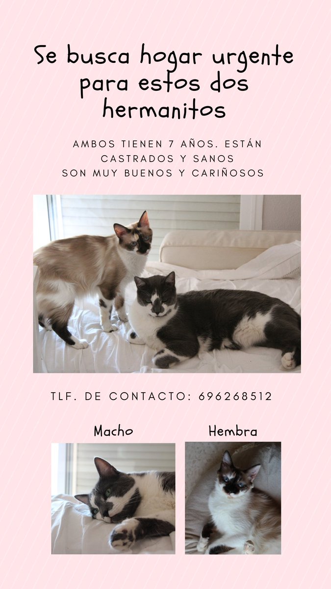 aal_drew's tweet photo. Difundid xfi 🫶🧡 https://t.co/040RyZJk6I