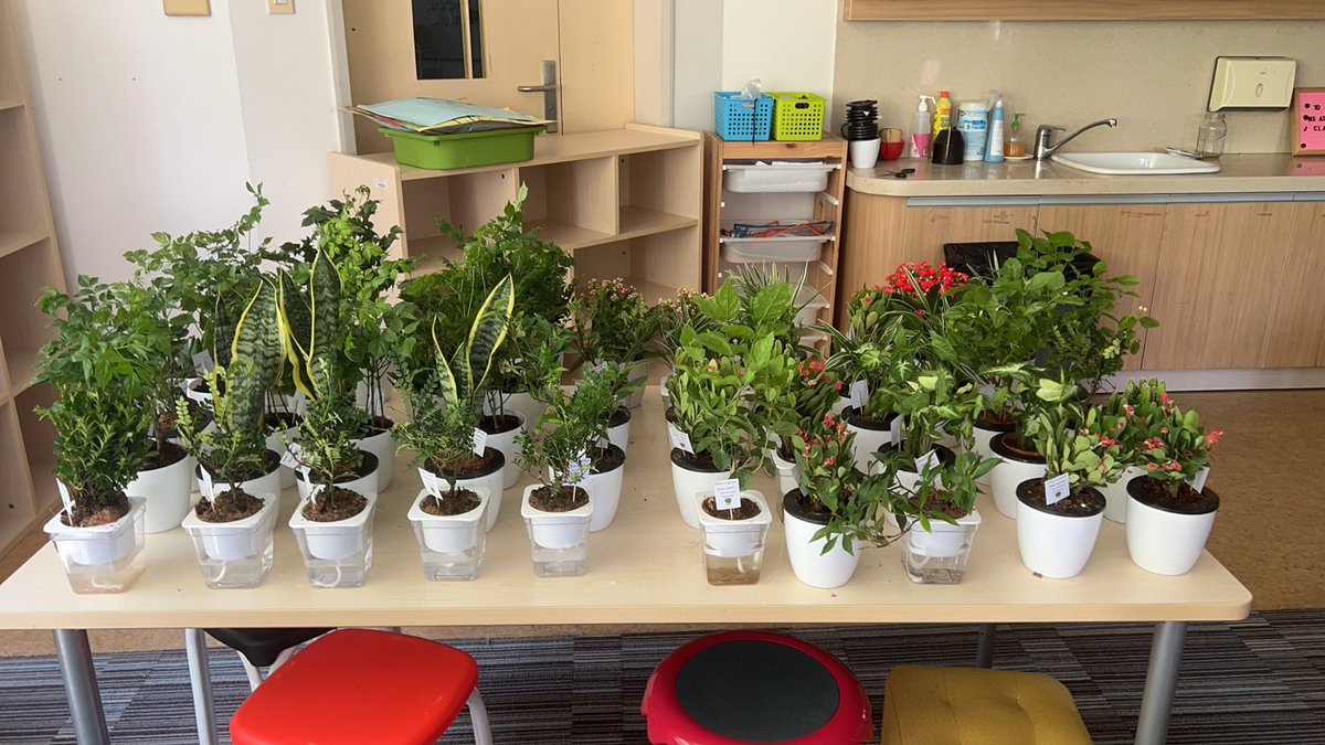 au_athena's tweet photo. Adding some new growth to a new school year. ❤️☀️ https://t.co/WtVuK1dwMY