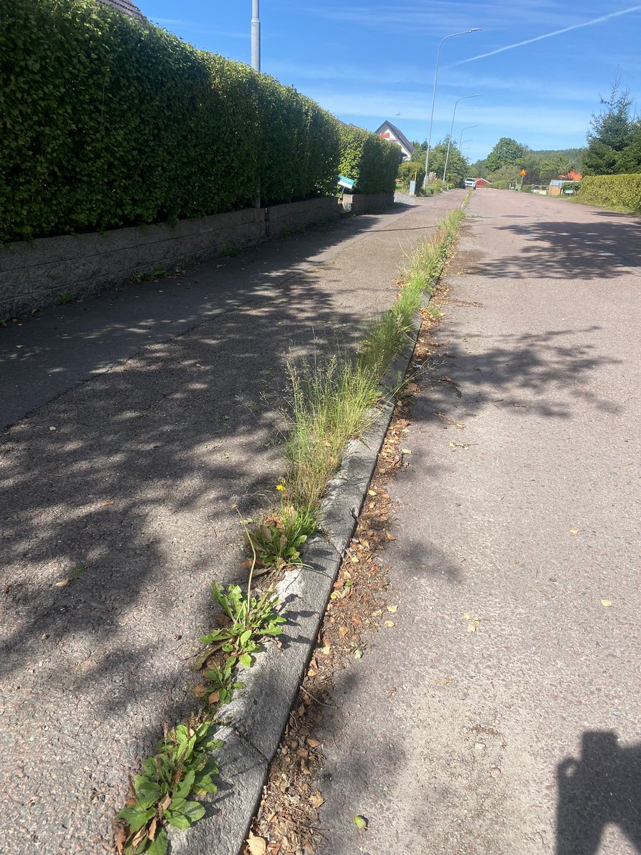 bjornlofgren's tweet photo. När man återvänder på besök i uppväxtorten @Storforskommun så slås man av hur dåligt omhändertagen den är. Man blir ju inte direkt sugen att flytta hem igen. Dessa två bilder får representera många iakttagelser och frågan: Hur svårt är det eg att hålla det lite snyggt? https://t.co/lr7DopQukP