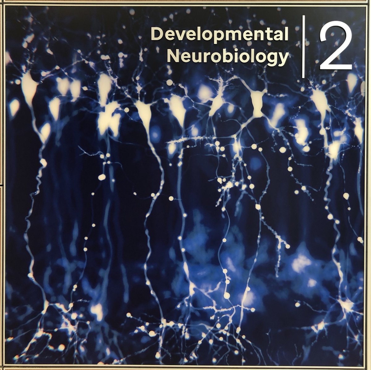 David Solecki (pronounced so_lets_ki 😉) tweet media