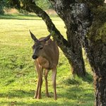 Photo by WINMAR Fraser Valley (@Winmar_FV)