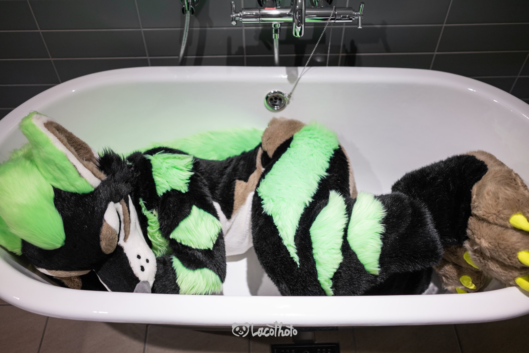  dapperdragon25 fursuit makers twitter