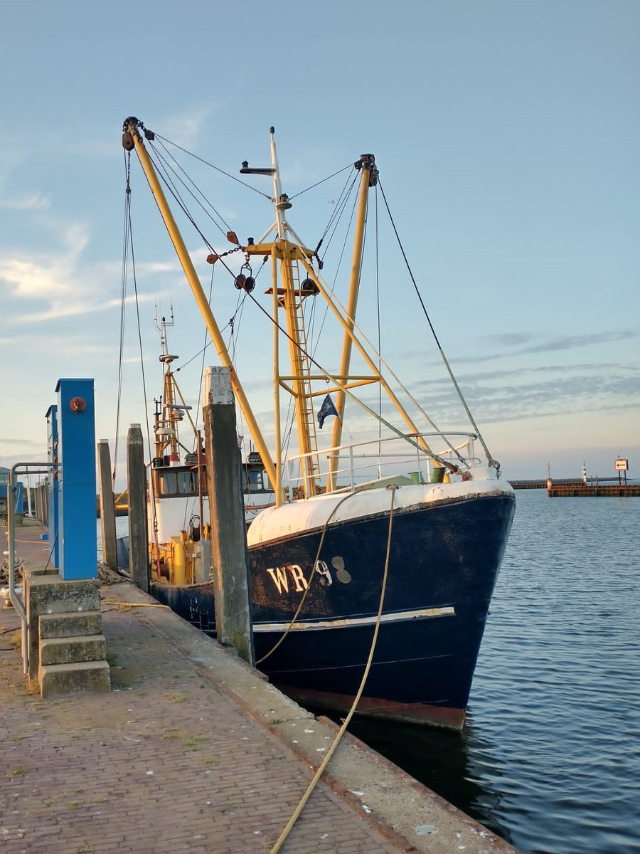 LuytGroep's tweet photo. Natuurlijk komt de #Wieringer vloot weer goed voor de dag met de Flora & Visserijdagen🐟🎏🌺. Zo ook de WR-98 ‘Else Jeannette’ van André & Daan Hermans.
Een van de oudste nog vissende #kotters (1961) van de thuisvloot voor de kant voor klusjes & opknapwerk uitgevoerd door #LUYT. https://t.co/xh5jYfvLtU