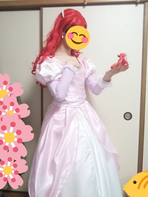 男子高校生がディズニープリンセスの衣装手作り 刺しゅうに4カ月 夢は自ら仮装 高校生新聞オンライン 高校生活と進路選択を応援するお役立ちメディア