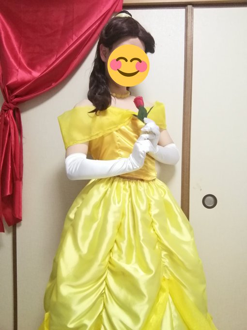 男子高校生がディズニープリンセスの衣装手作り 刺しゅうに4カ月 夢は自ら仮装 高校生新聞オンライン 高校生活と進路選択を応援するお役立ちメディア