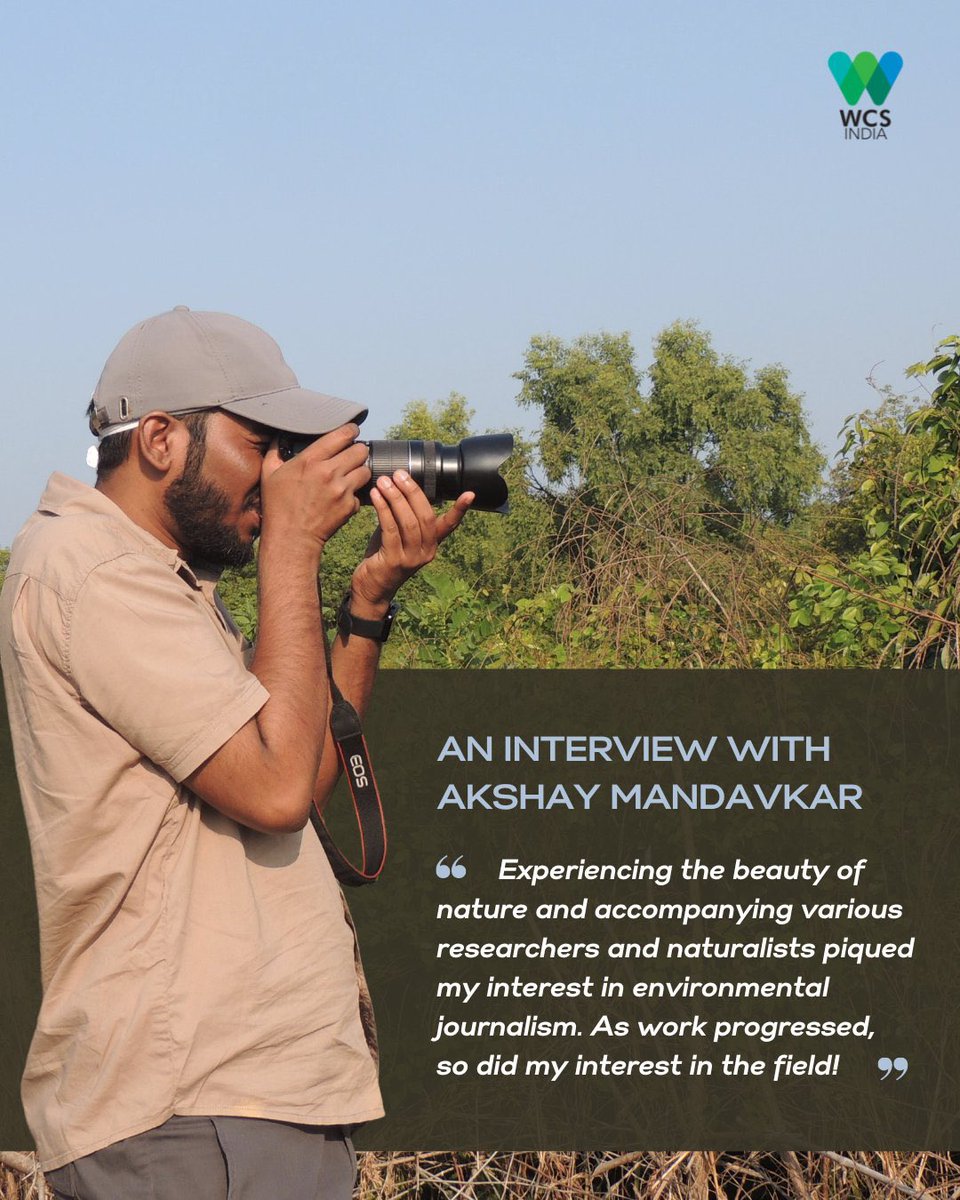 akshay_journo's tweet image. Read my story as a wildlife journalist 🐾🌿
Read the full #interview: bit.ly/interview-aksh…
Thank you @WCSIndia 🙏🏻
@vrtiwari1 @ben_ifs @Mani_ifs @ranjeetnature @tweetsvirat @varad_giri @Prateik_more @singh_sonu @shardulbajikar @RajeshVS87 @anishandheria @NehaPanchamia