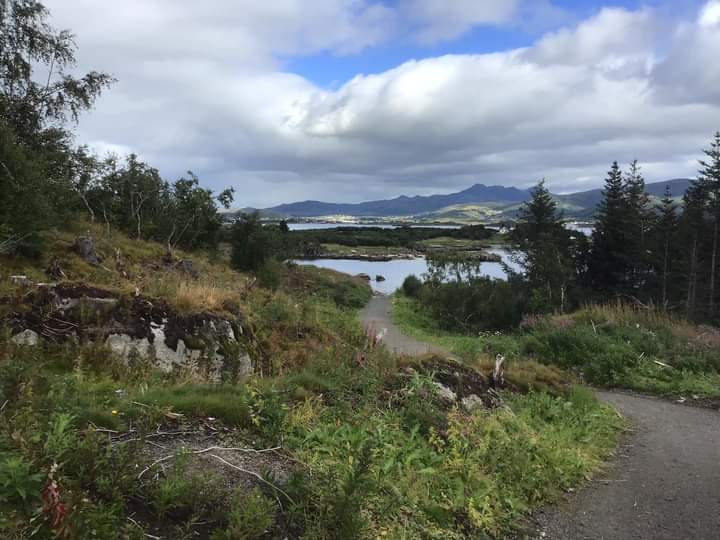 TerryWhenham's tweet photo. Something special about walking in the Norwegian countryside training for @Soldierscharity. Very cold but the air is so clean. #FrontlineWalk https://t.co/ZvbNS4Q80B